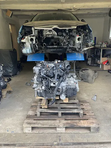 AUTO-DIAGNOZA Piotr Żurek